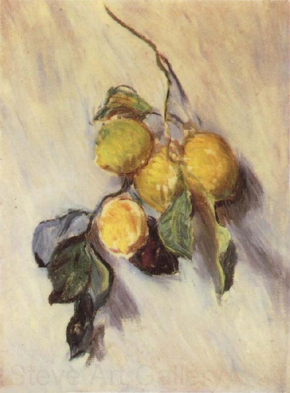 Claude Monet Branch from a Lemon Tree Norge oil painting art